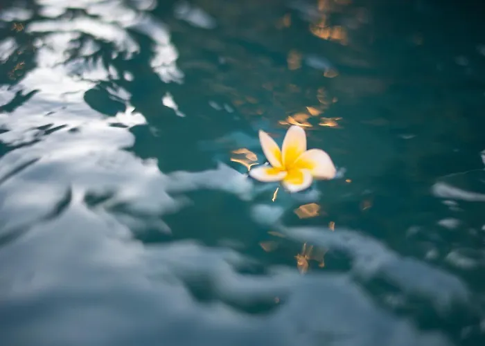 Lumbung Sari - Tropical Balinese Experience فيلة *