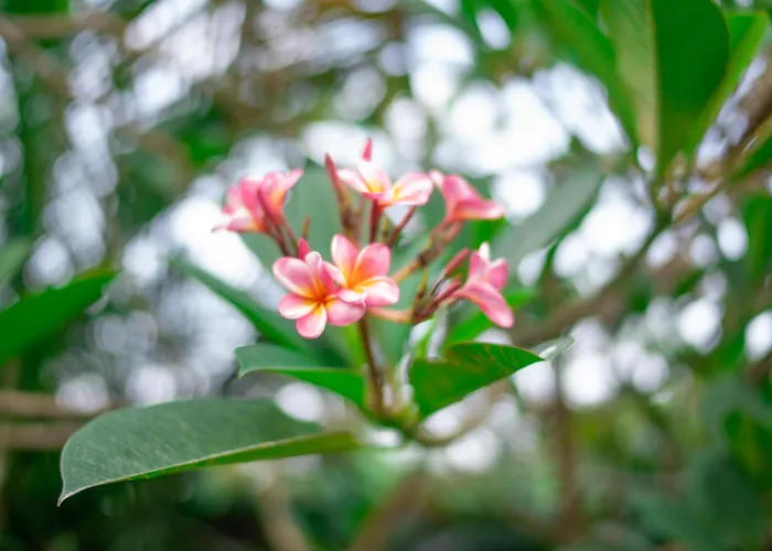 Lumbung Sari - Tropical Balinese Experience فيلة *